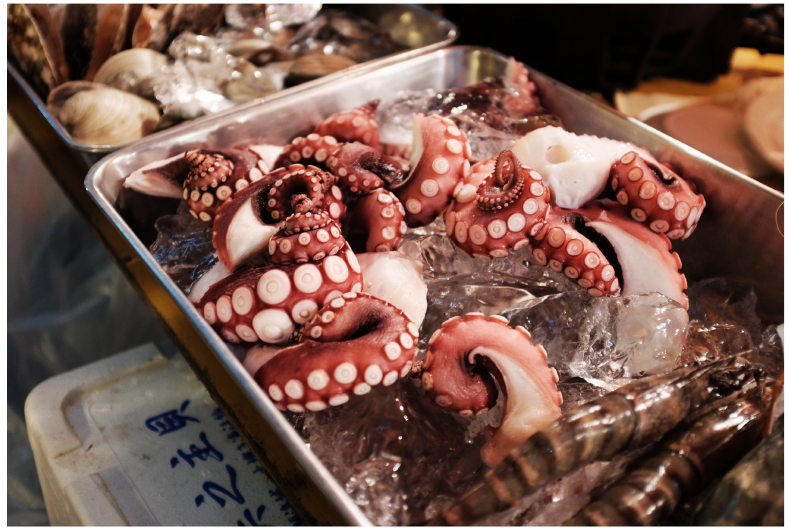 octupus